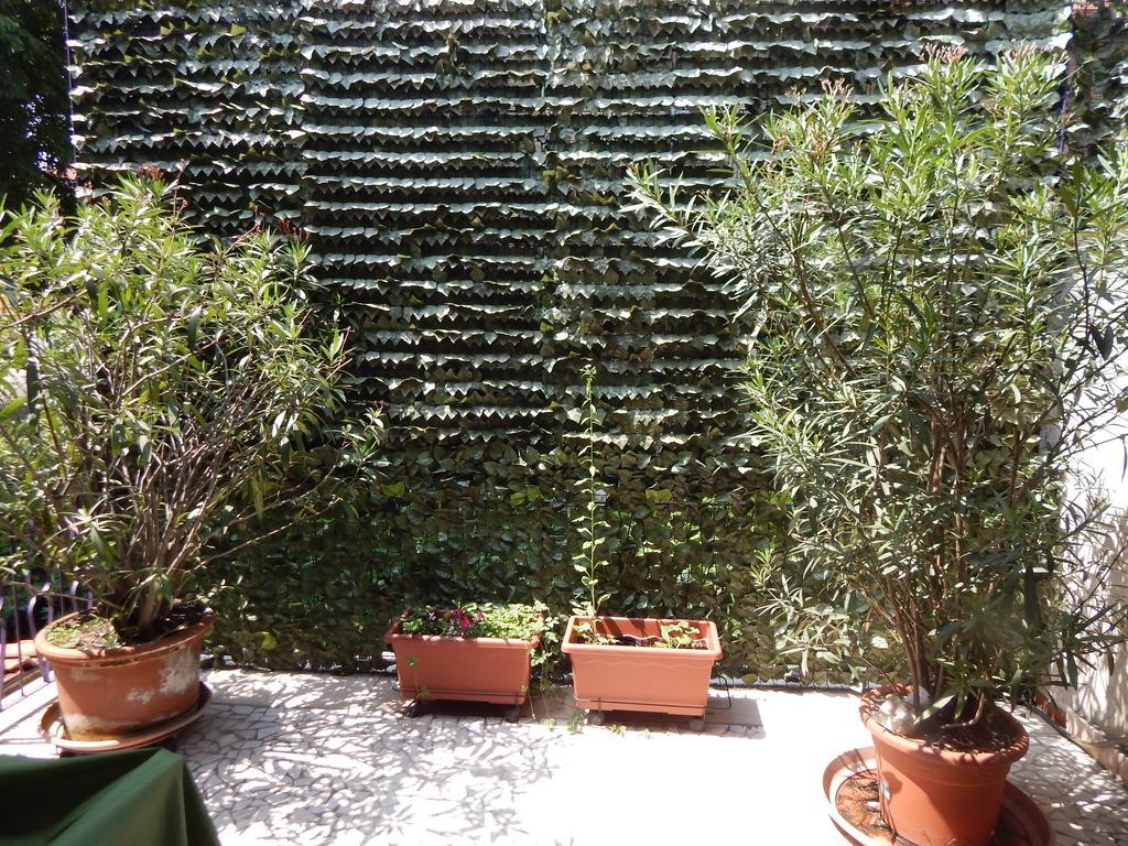 Forte House — Photos 2